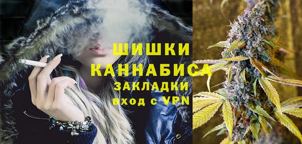 гашик Няндома