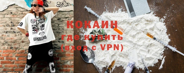 гашик Няндома