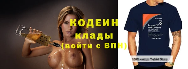 гашик Няндома