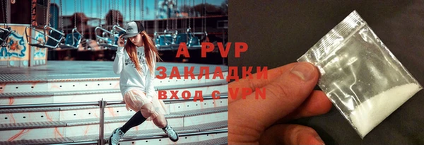 гашик Няндома