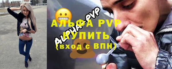 гашик Няндома