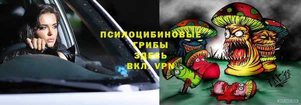 гашик Няндома