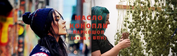 гашик Няндома