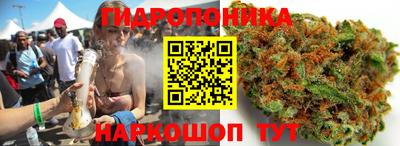 2c-b Абакан