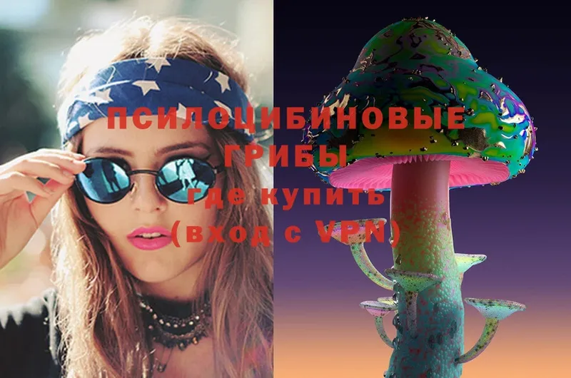 МЕГА онион  Александров  Псилоцибиновые грибы Magic Shrooms 