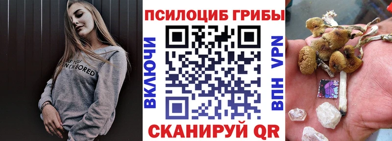 Галлюциногенные грибы GOLDEN TEACHER  где купить наркотик  kraken рабочий сайт  Александров 