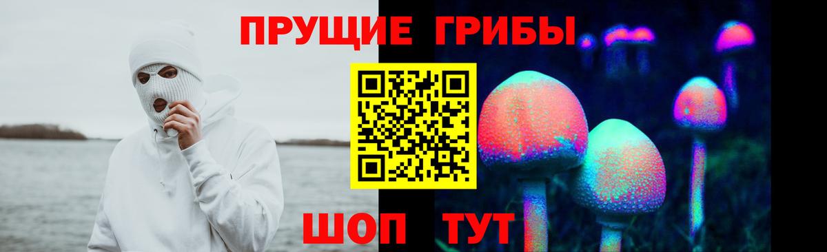 Псилоцибиновые грибы Magic Shrooms  Александров 